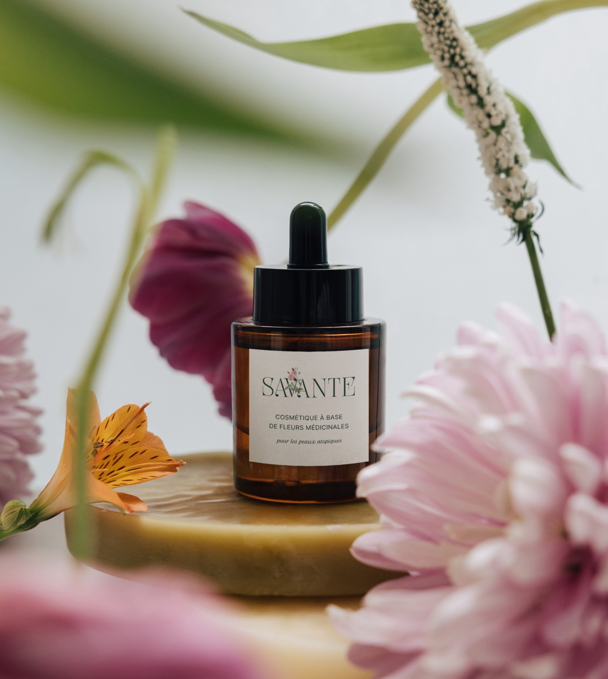 Identité visuelle marque de cosmétique naturel Savante