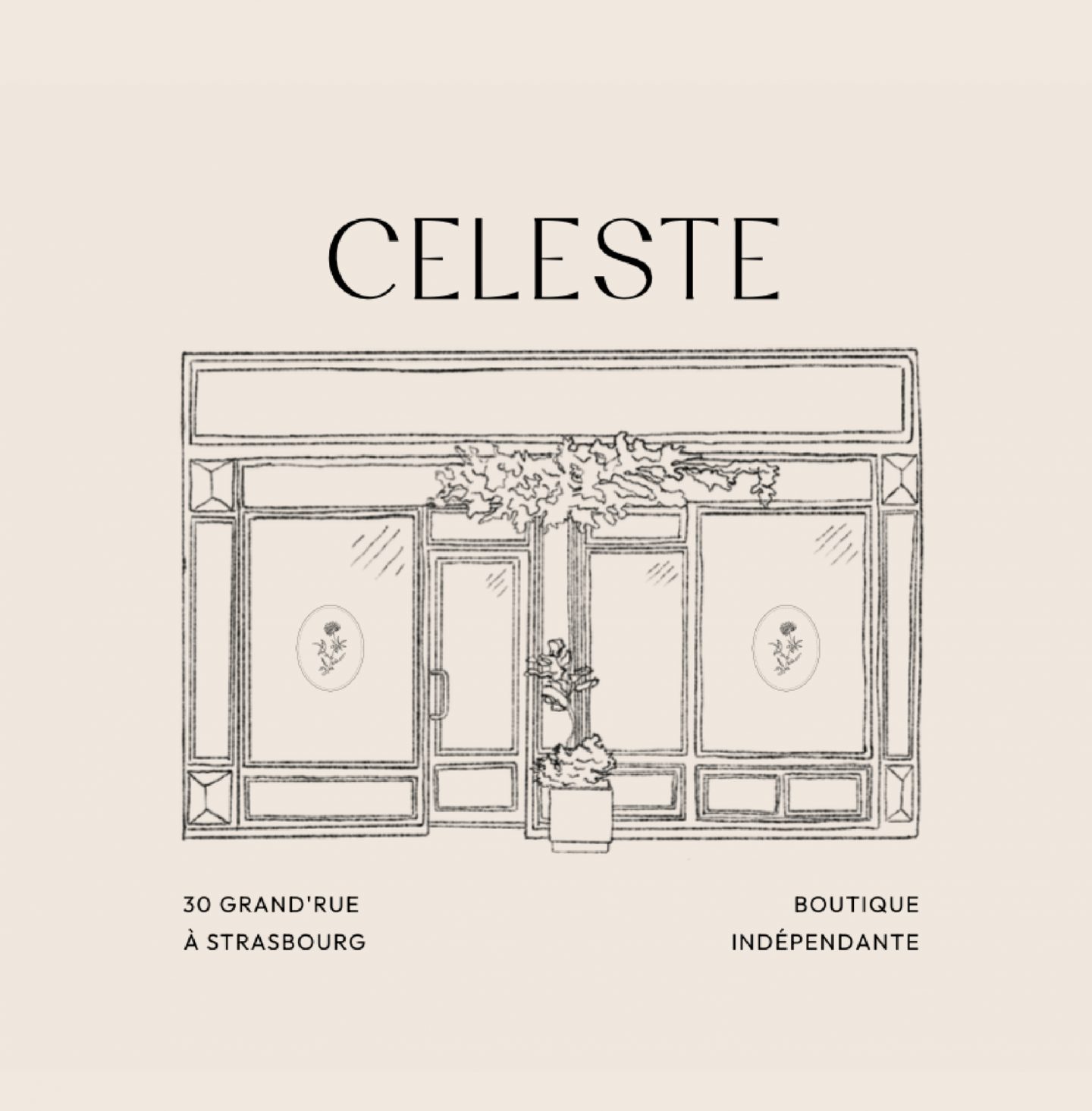 refonte identité visuelle boutique indépendante Céleste Strasbourg