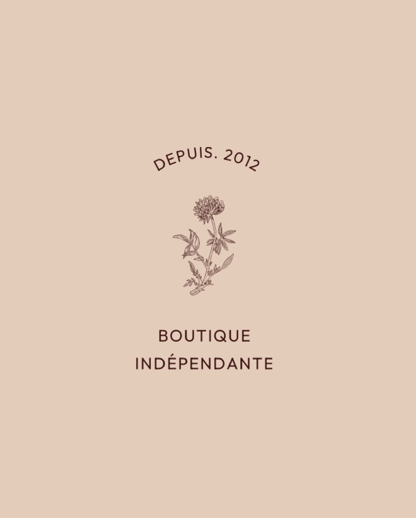 refonte identité visuelle boutique indépendante Céleste Strasbourg