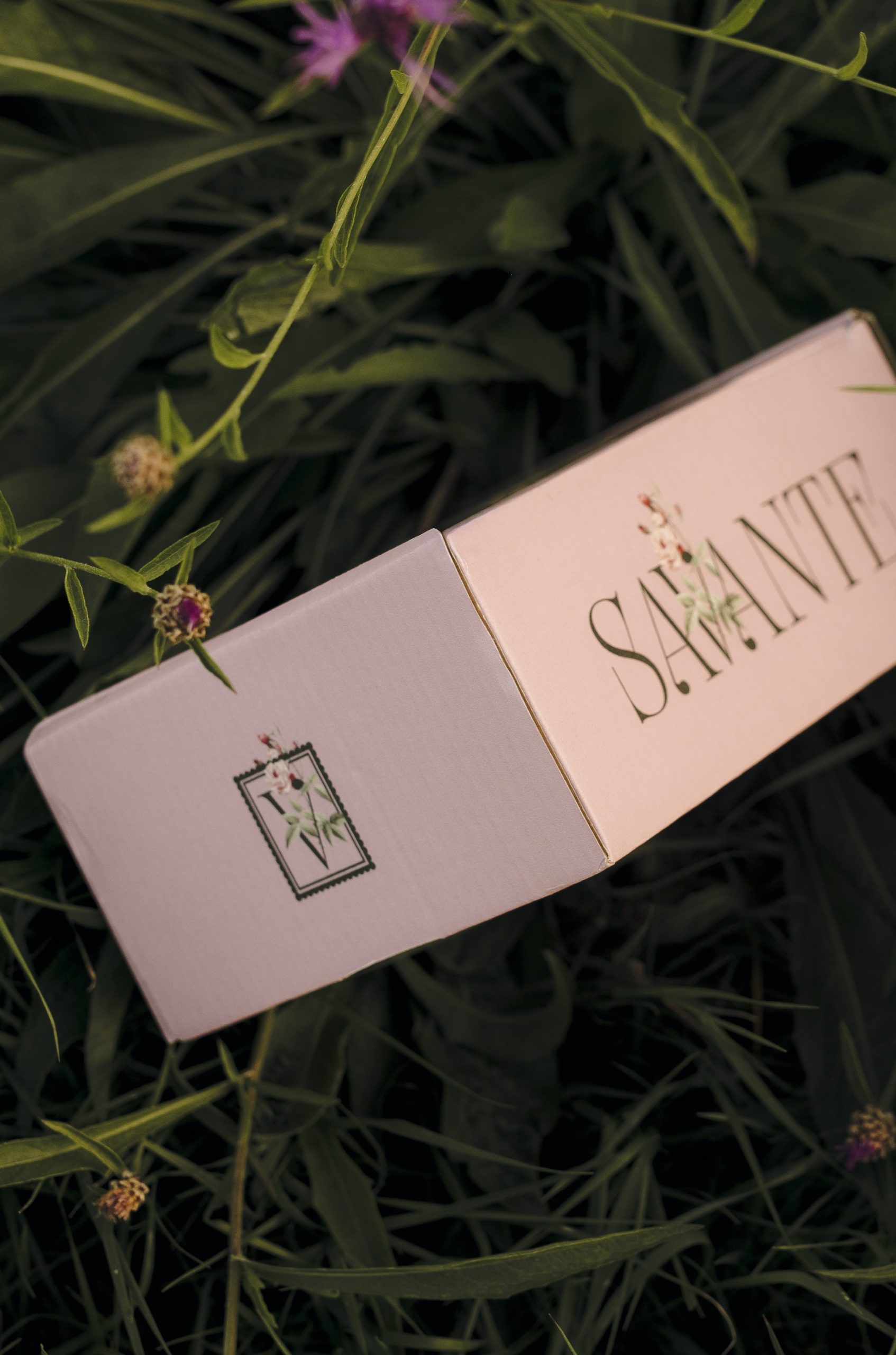 SAVANTE